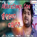 Mu Luha Re Gali Bhiji New Sad Song By Humane Sagar.mp3