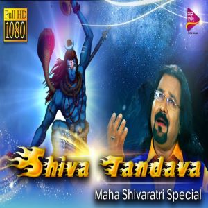 Shiva Tandava Suresh Sethi Bhajan.mp3