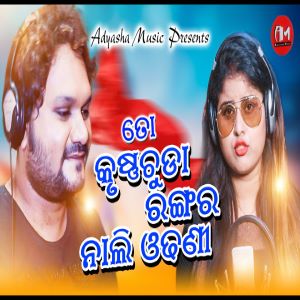 Krushna Chuda Rangara Nali Odhani Full Song By Human Sagar.mp3