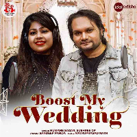 Boost My Wedding Human Sagar.mp3